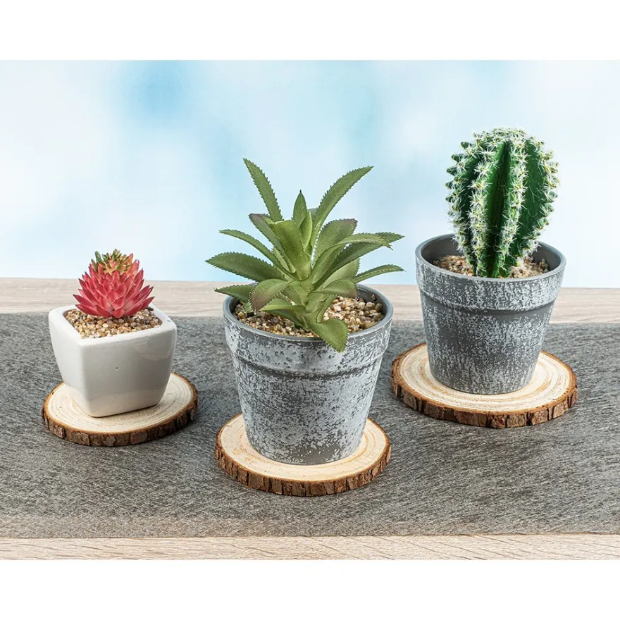 Baumscheiben, Ø 9cm bis 10cm, 0,6cm stark, 20 Stück