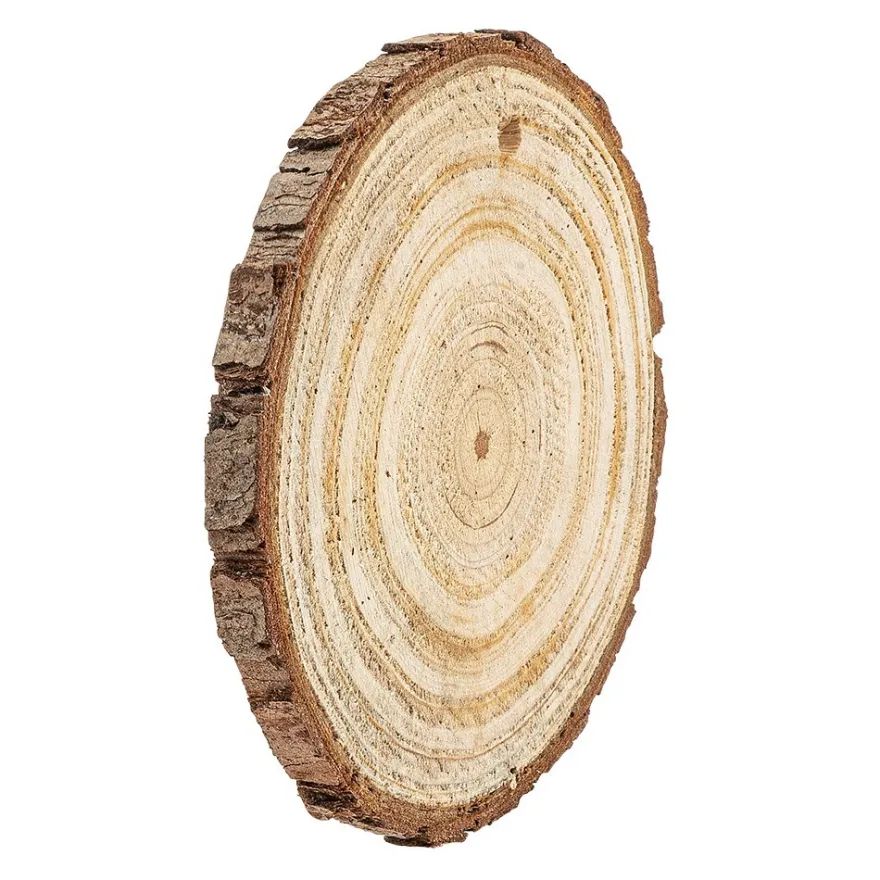 Baumscheiben, Ø 9cm bis 10cm, 0,6cm stark, 20 Stück