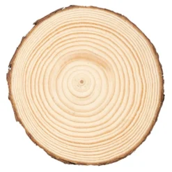Baumscheiben, Ø 13cm bis 14cm, 1,5cm stark, 4 Stück