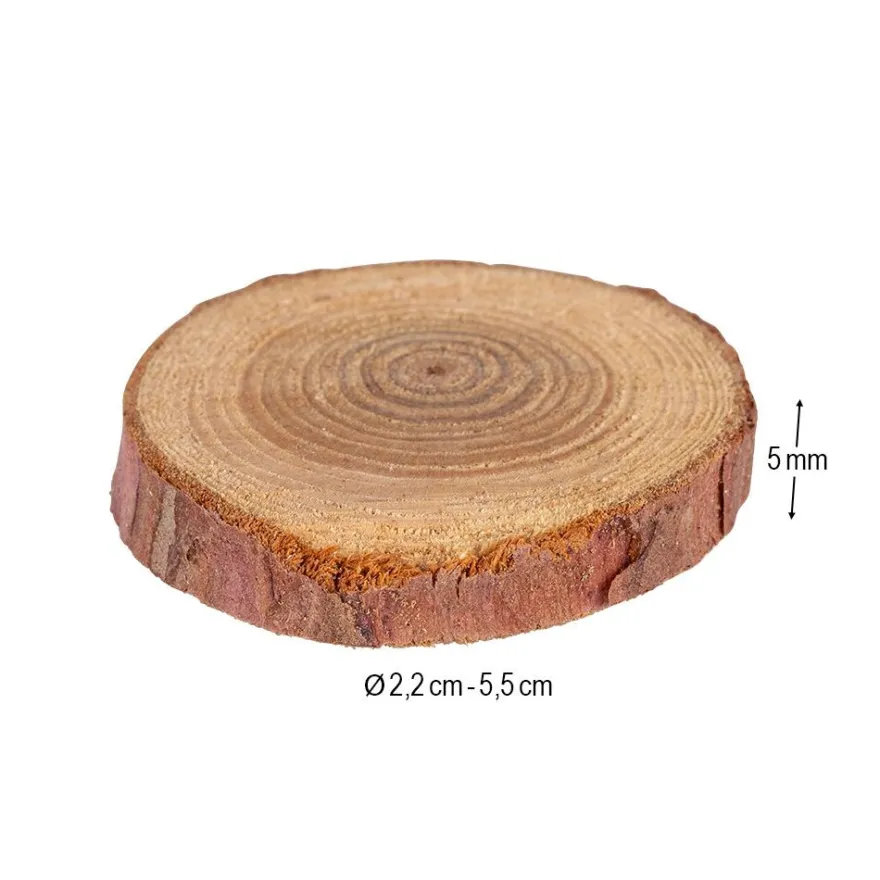 Baumscheiben, Ø2,2cm bis Ø5,5cm, 5mm stark, 36g