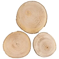 Baumscheiben, Ø16-17cm, Ø19-20cm, Ø24-25cm, 2cm stark, 3 Stück