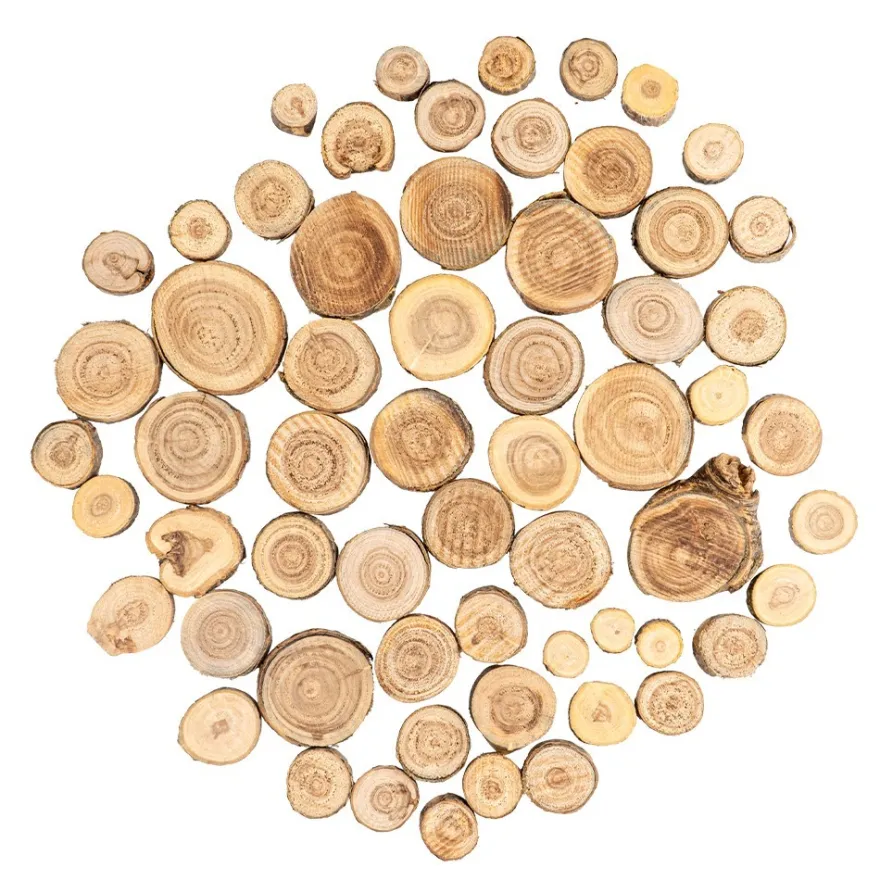 Baumscheiben, Ø2,5-5cm, 0,8cm stark, 60 Stück