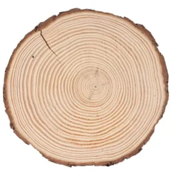 Baumscheibe, rund, Ø 19cm bis 20cm, 2cm dick