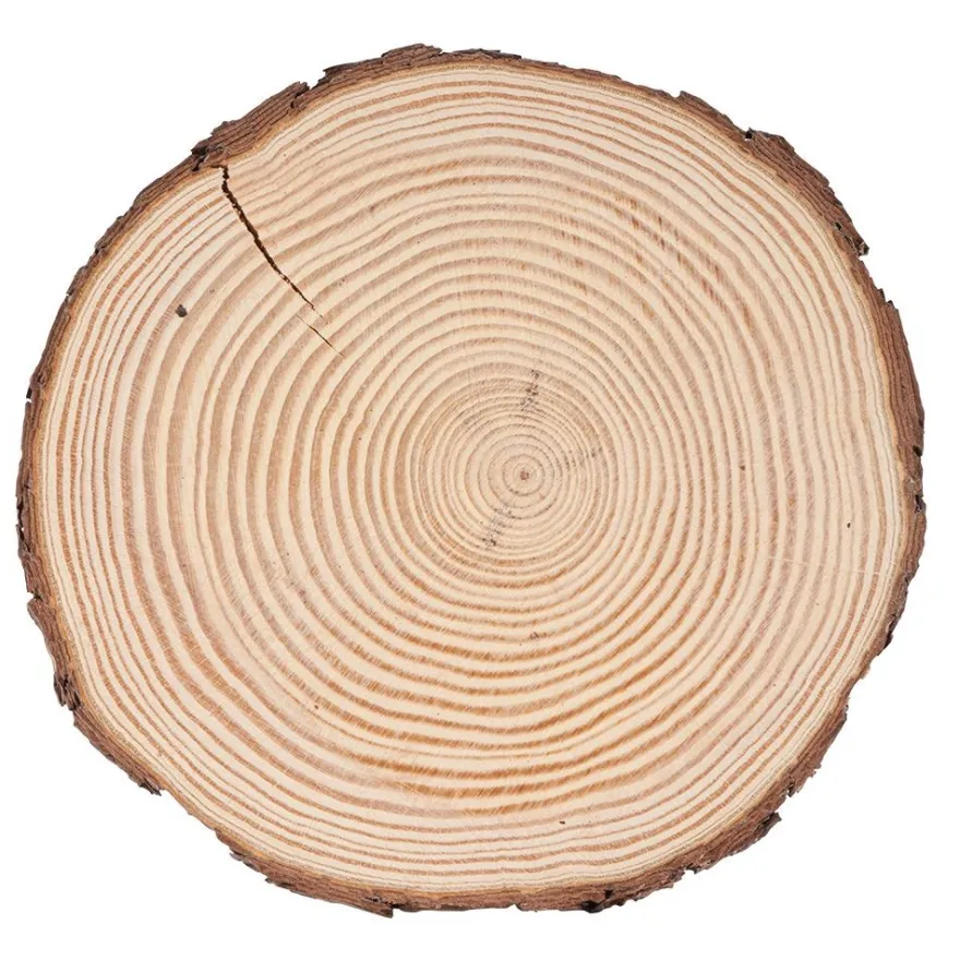 Baumscheibe, rund, Ø 19cm bis 20cm, 2cm dick