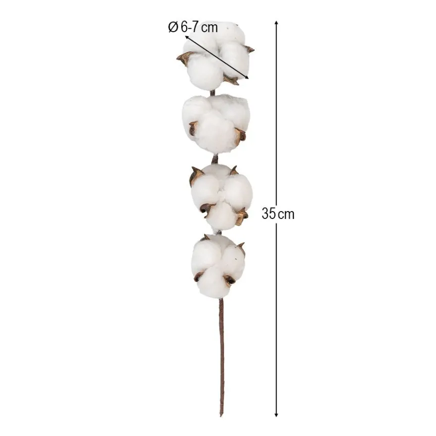 Baumwollzweig, 35cm lang, 4 Samenkapseln, Ø6cm bis Ø7cm