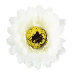 Blütenbusch, Chrysanthemen 1, 32cm hoch, 6 große Blüten, Ø 6cm, weiß
