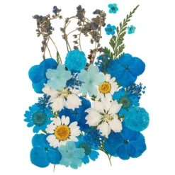 Blumen, getrocknet & gepresst, verschiedene filigrane Blumen in Blau