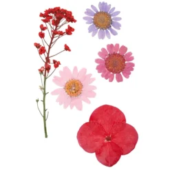 Blumen, getrocknet & gepresst, verschiedene filigrane Blumen in Rosatönen