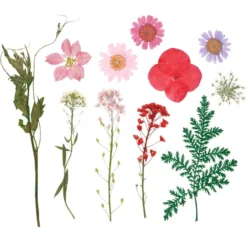 Blumen, getrocknet & gepresst, verschiedene filigrane Blumen in Rosatönen