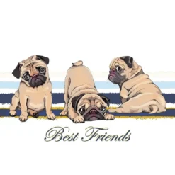 Color Bügeltransfer, DIN A4, Best Friends (Mops)