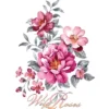 Color Bügeltransfer, Glitzer, DIN A4, Heckenrose