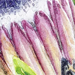 Color Bügeltransfer, Glitzer, DIN A4, Protea