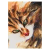 Color Bügeltransfers, DIN A4, Aquarell Katze