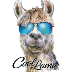 Color Bügeltransfers, DIN A4, Cool Lama