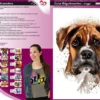 Color Bügeltransfers, DIN A4, Dogge