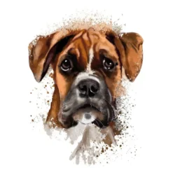 Color Bügeltransfers, DIN A4, Dogge