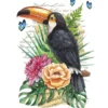 Color Bügeltransfers, DIN A4, filigran ohne Hintergund, Tropical Tukan