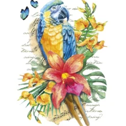 Color Bügeltransfers, DIN A4, filigran ohne Hintergund, Tropical Papagei