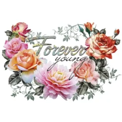 Color Bügeltransfers, DIN A4, Forever young