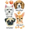 Color Bügeltransfers, DIN A4, Hunde 1