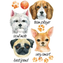 Color Bügeltransfers, DIN A4, Hunde 1