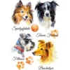Color Bügeltransfers, DIN A4, Hunde 2