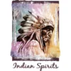 Color Bügeltransfers, DIN A4, Indian Spirits, Indianer