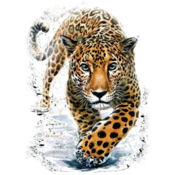 Color Bügeltransfers, DIN A4, Jaguar