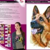 Color Bügeltransfers, DIN A4, Schäferhund Portrait