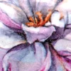 Color Bügeltransfers, Glitzer, DIN A4, Wildrosen 2