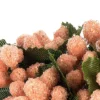 Deko-Beeren, Lachs, 20 Stück