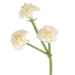 Deko-Blütenzweige, Schleierkraut, 5cm lang, 40g, creme
