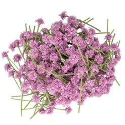 Deko-Blütenzweige, Schleierkraut, 5cm lang, 40g, violett