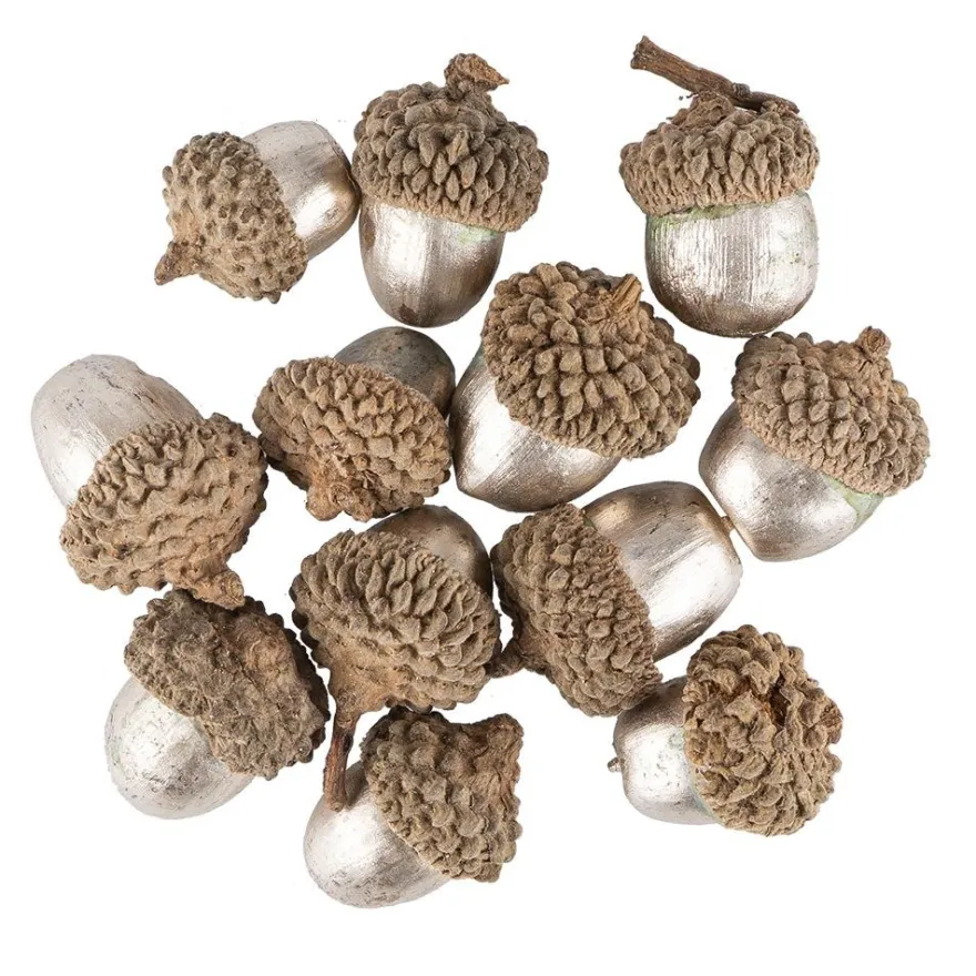 Deko-Eicheln, champagnerfarben, Ø1,5cm bis Ø2,3cm, 2,3cm bis 3,2cm lang, 12 Stück