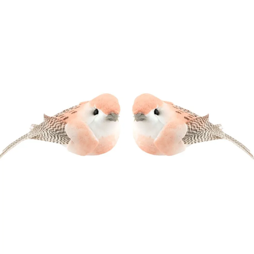 Deko-Federvögel, 5cm x 2,4cm x 2,3cm, 5 verschiedene Farben, 10 Stück