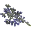 Deko-Floristik, Blütenknospen 5, 35g, 8cm lang, violette Knospen