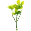 Deko-Floristik, Blätter 6, 8cm / 9cm, 30g