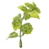 Deko-Floristik, Blätter 7, 7,5cm / 8,5cm, 30g