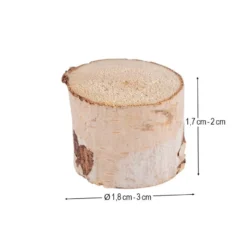 Deko-Holzstämme 2, Ø1,8cm bis 3cm, 1,7cm bis 2cm lang, 10 Stück