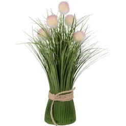 Deko-Knopfgras, 30cm hoch, mit rosa Blüten