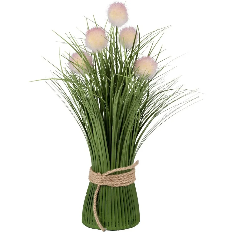Deko-Knopfgras, 30cm hoch, mit rosa Blüten