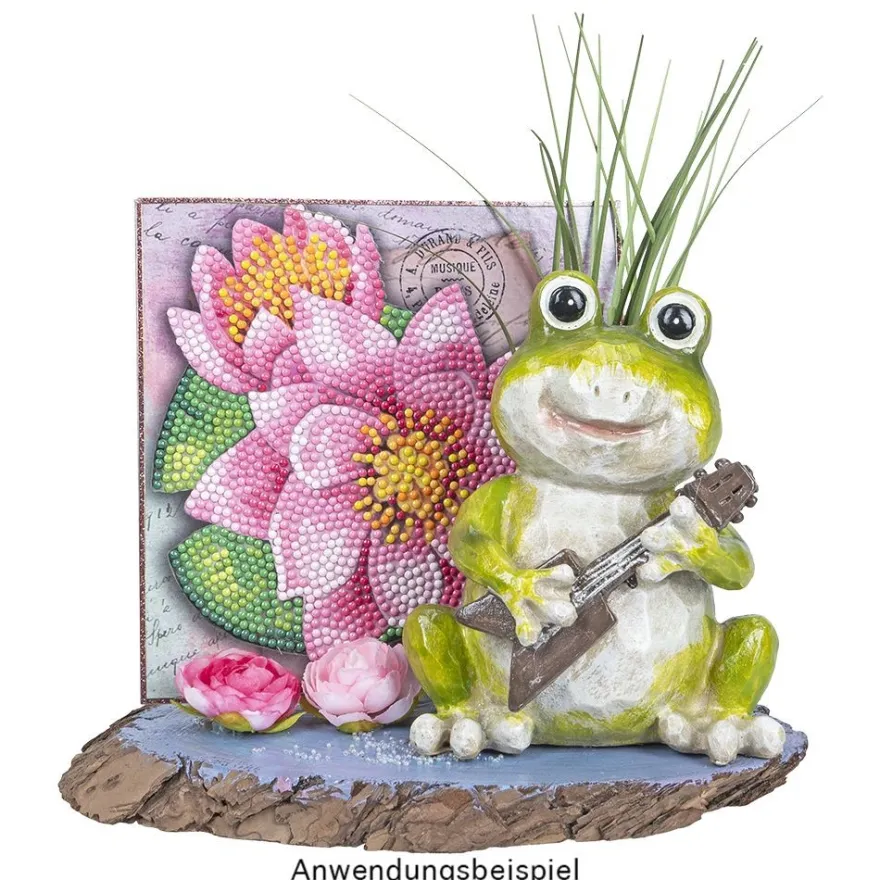 Deko-Knopfgras, 30cm hoch, mit rosa Blüten