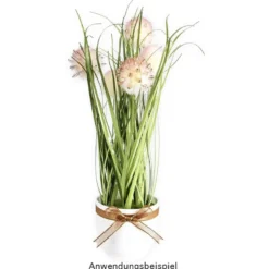Deko-Knopfgras, im Topf, 30cm hoch, mit rosa Blüten