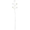 Deko-Kristall-&Perlenzweige, Kugel, 14cm, transparent klar, perlmutt natur, 10 Stück
