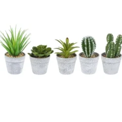 Deko-Sukkulenten, 10cm bis 16cm hoch, in grauem Blumentopf, 5 Stück