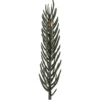 Deko-Tannenzweige, 8cm lang, 20g