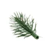 Deko-Tannenzweige, grün, 6,5cm, 55 Stück