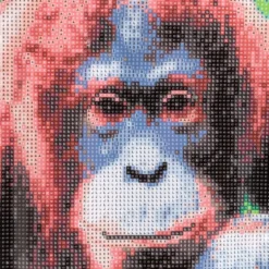 Diamond-Painting-Bild, Affe, 35cm x 25cm, inkl. Werkzeug