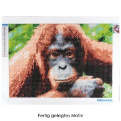 Diamond-Painting-Bild, Affe, 35cm x 25cm, inkl. Werkzeug