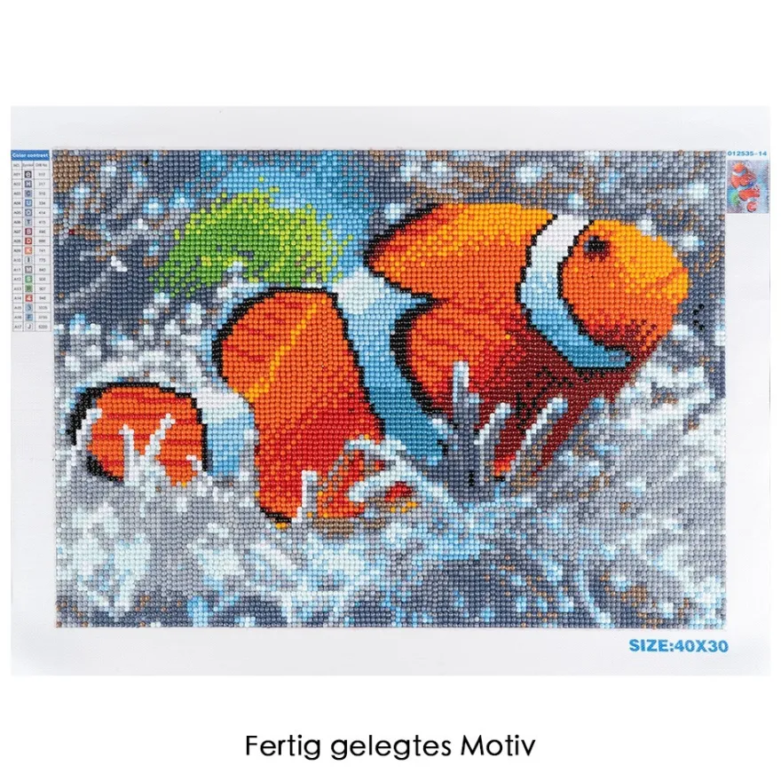 Diamond-Painting-Bild, Clownfisch, 35cm x 25cm, inkl. Werkzeug